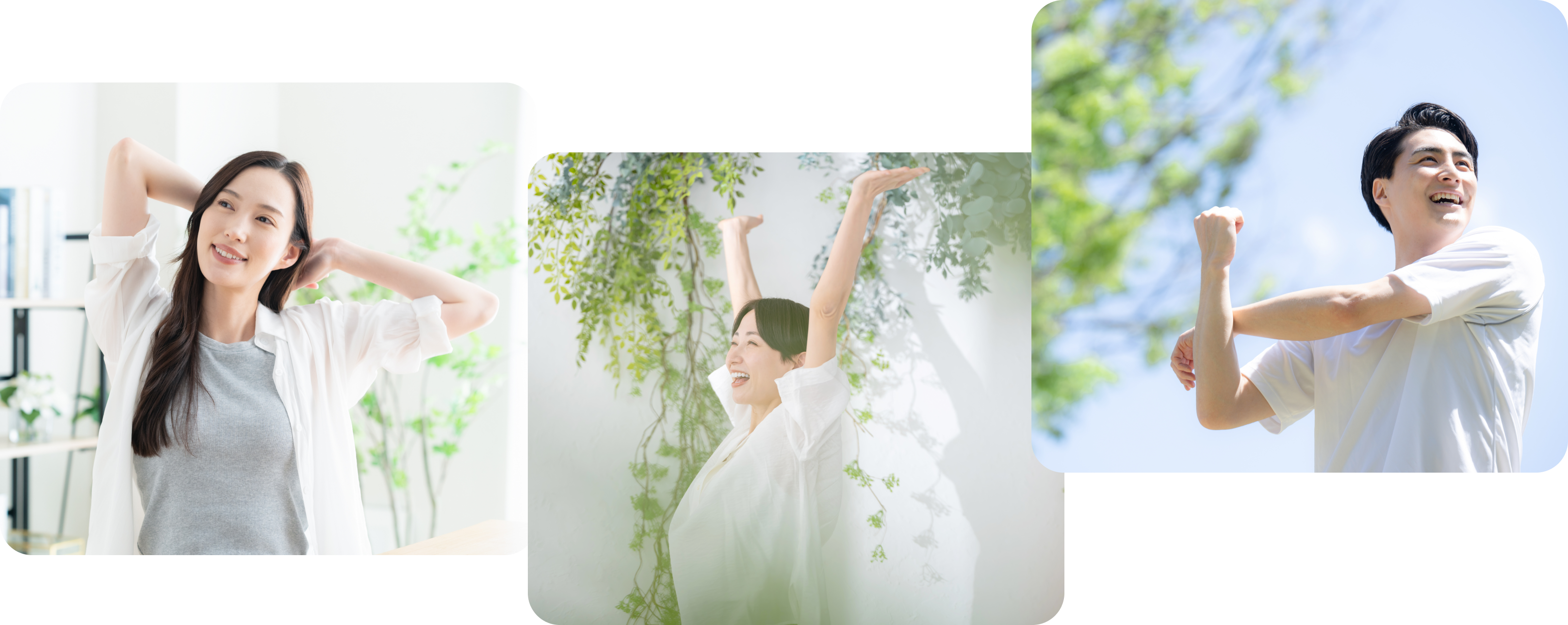 整体施術の様子