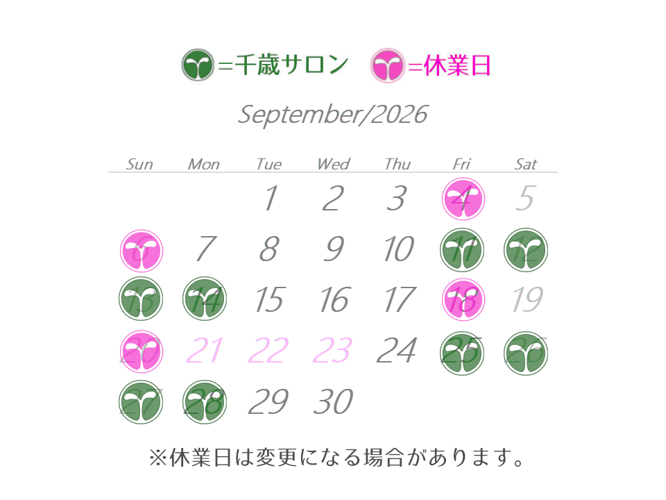 2026/9